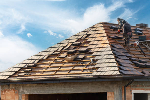 Best Roof Moss and Algae Removal  in Circleville, OH